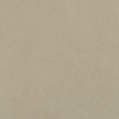 Silver State Old English Shell